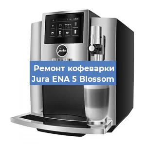 Чистка кофемашины Jura ENA 5 Blossom от кофейных масел в Екатеринбурге